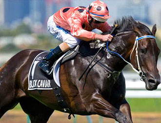 HORSE RACING HORSE RACING